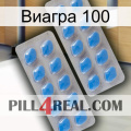 Виагра 100 23